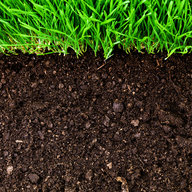 Soil