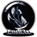 endl355