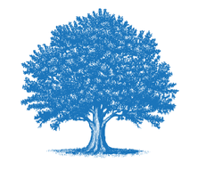 blueoak32