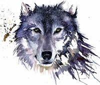 iWolf