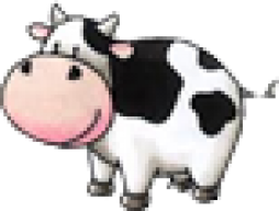 pk the cow