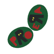 Pro Era