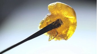 dabsondabs