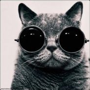 Needagspure038