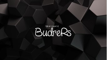 Budrex11