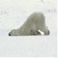 Moosedude358