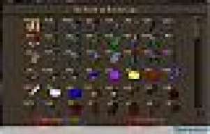 pinseller302