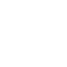 ALCH Team