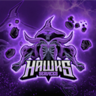 HawksServices
