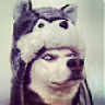 shadowkitsune