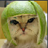 Robertuks