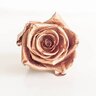 Rosegoldosrs