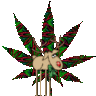 Budulis
