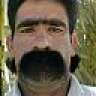 greenhorn