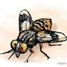 Frucht_fliege_or