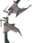 3rd Age Services