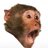 MonkePog