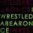 iwrestledabearonce