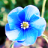 I_Am_God234a