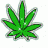 True Blunt