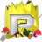 Pinjur