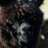 BlackAlpaca