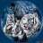 Kittycat_4eva