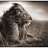 Tinylion