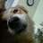 Lawalkie22
