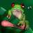 ribbit.