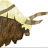 Crafty_yak
