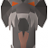 Dragonic Visage