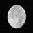 MoonSailor24