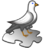 Bailyfx