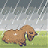 AWildLlama