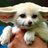 Aryabelle