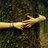 treehuggs4life