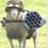 Sheepboost
