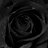 Original Roses