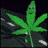 reedollaz