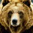 LaserBear