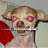 dr shank1