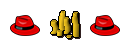 Lrug Dord Donor