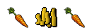 Wortel Donor