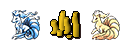 Shoto Donor